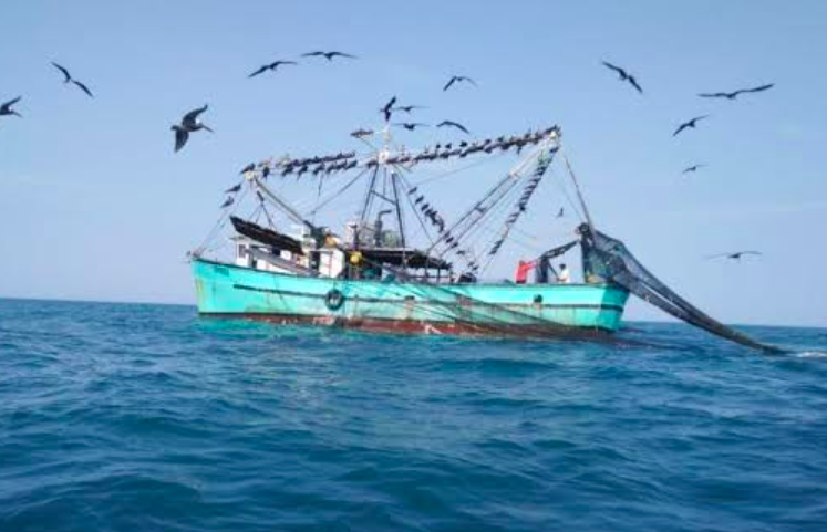El proyecto REDUSE-II recupera 18 toneladas de redes de pesca para, redes  de pesca