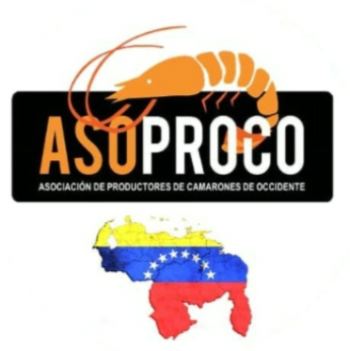 Venezuela and its desire to export organic vannamei shrimp(图1)
