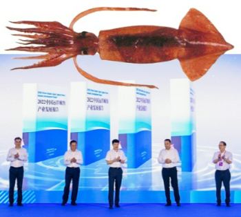 Seafood Media Group - Worldnews - China released a report on the  development of the ocean-going squid fishing industry